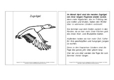 Mini-Buch-Zugvögel-Lesetext-SW.pdf